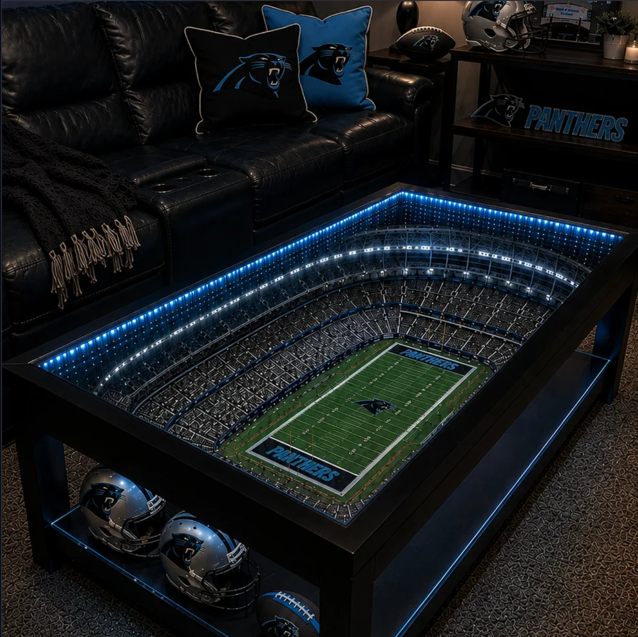 PANTHERS STADIUM TABLE